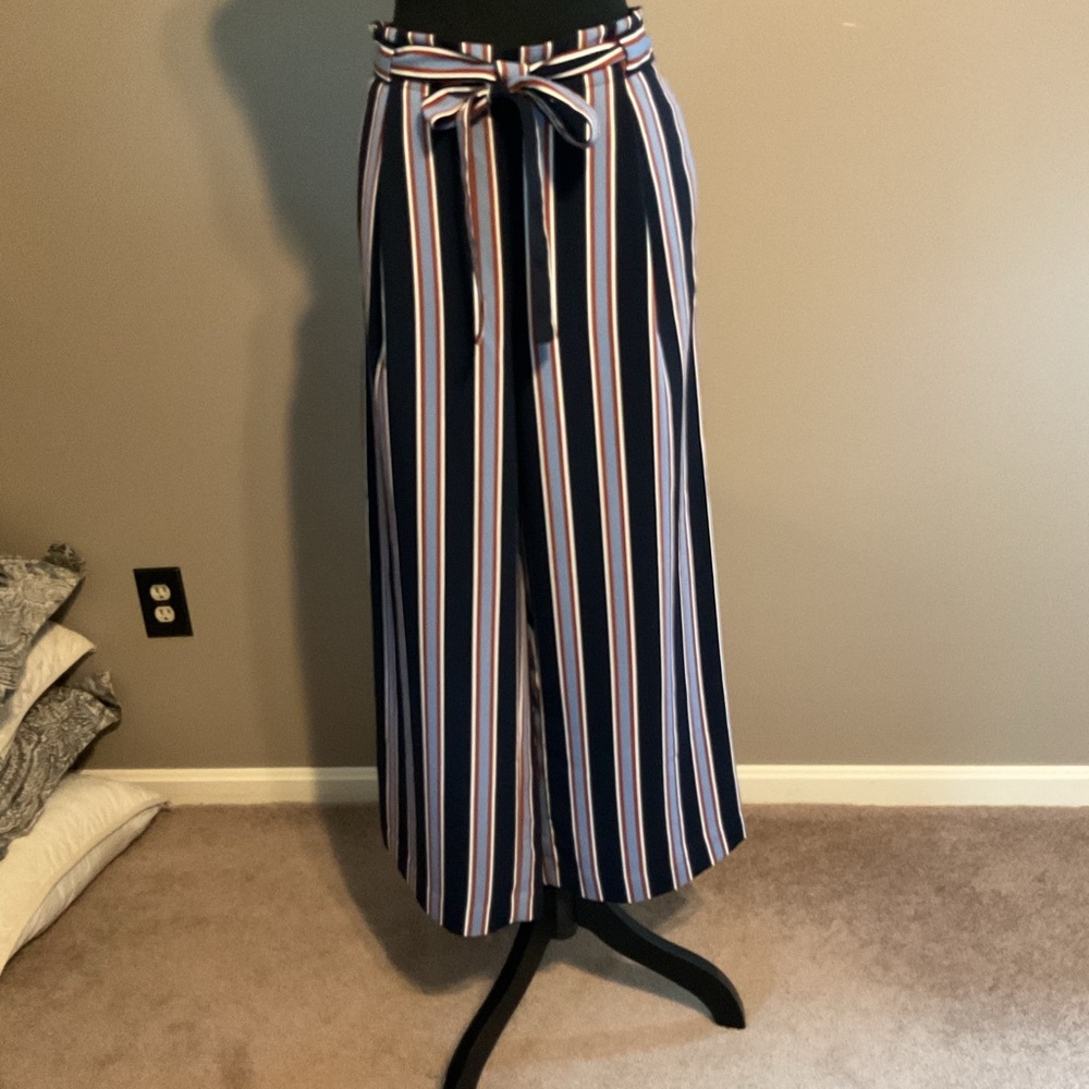 Ann Taylor Factory Striped Pants in Navy and Rust